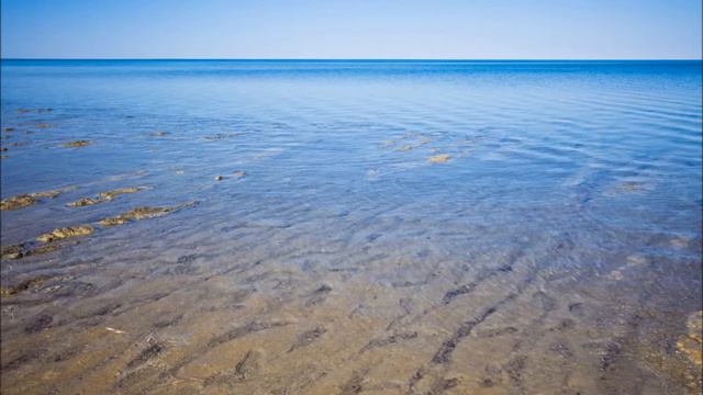 Социальный ролик "Куда идем?" Автор: Кондратьева Н.Н. МДОУ № 46 г.Электросталь смотреть онлайн