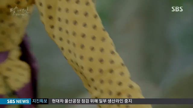 Моя.=== дорама Алые сердца. смотреть онлайн