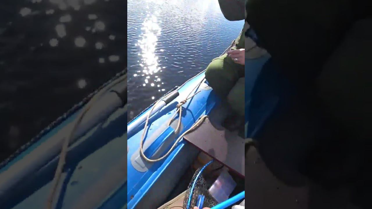 необычный улов на рыбалке.#юмор смотреть онлайн