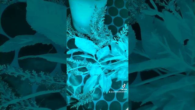 Медитация на исцеление душевной боли! #медитациядлясердца#медитациядля смотреть онлайн