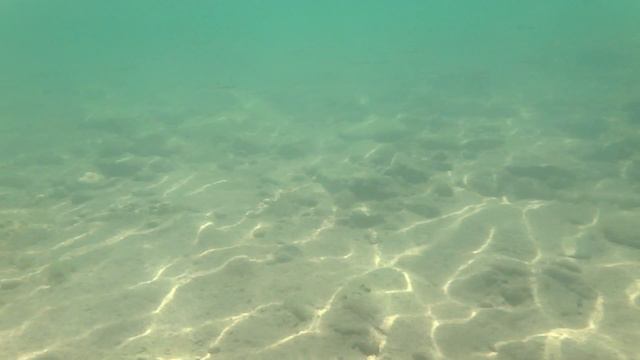 Путешествие под водой смотреть онлайн