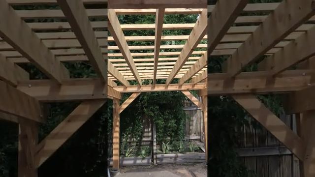 Pergola 2019 смотреть онлайн