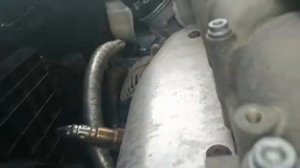 Модель и номер двигателя CFN Фольксваген поло (Volkswagen polo)