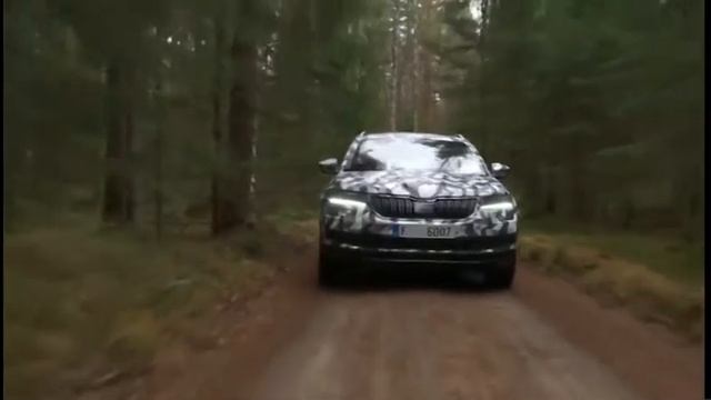 Skoda Karoq 2018 модельного года смотреть онлайн