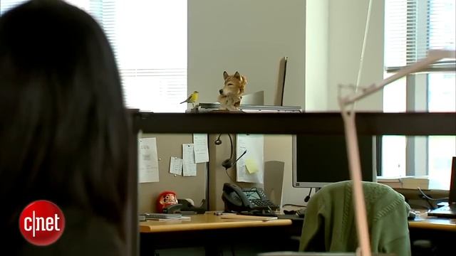 CNET How to: Reduce computer-related eyestrain смотреть онлайн