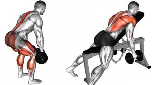 6 упражнений на широчайшие мышцы спины, только Гантели