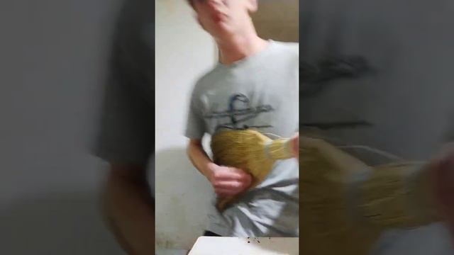 я опять играю на том что пахоже на гитару) смотреть онлайн