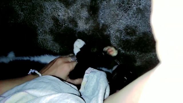 tagutaguan hulika mingming смотреть онлайн