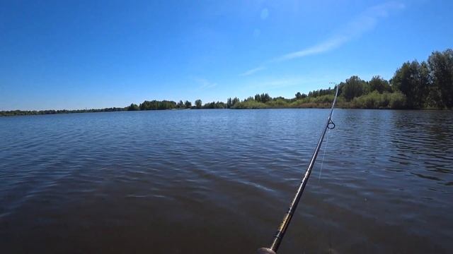 Рыбалка на жереха летом! Жерех на спиннинг. смотреть онлайн