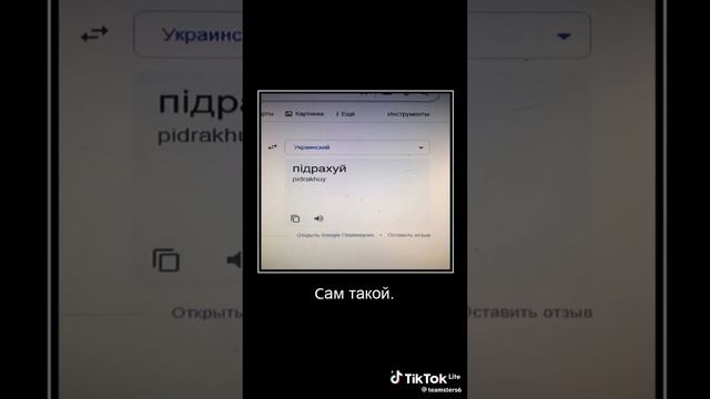 переводчик