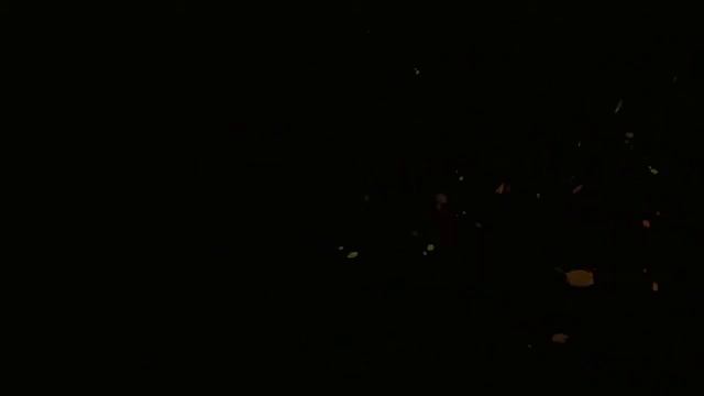 Free HD footage Flying leaves Видеофон HD Video (Летящие листья) смотреть онлайн