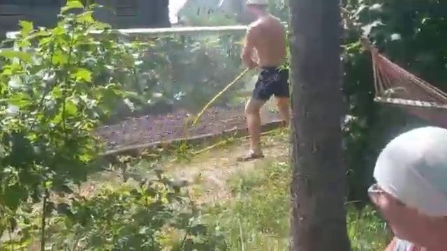 Веселые танцы смотреть онлайн