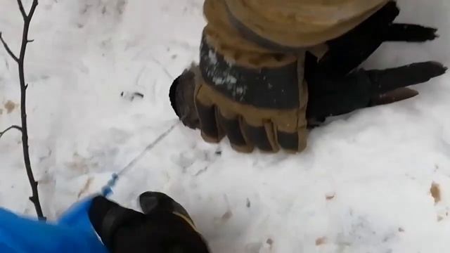 Спасение вороны смотреть онлайн