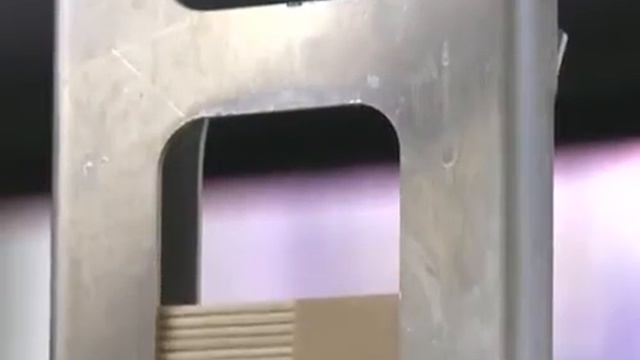 Выходные праздники: Веселье и радость