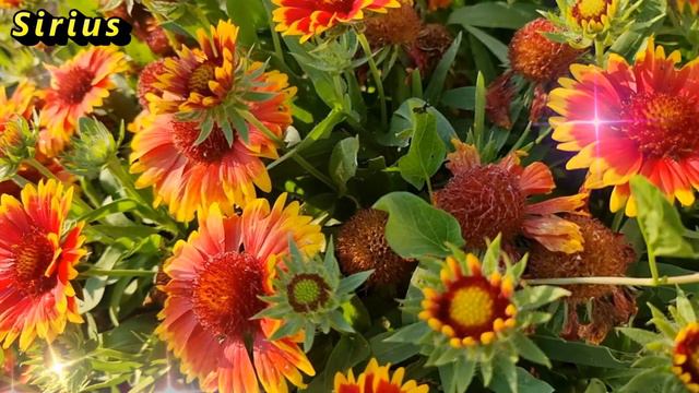 Привычки людей, который закрывают путь к богатству