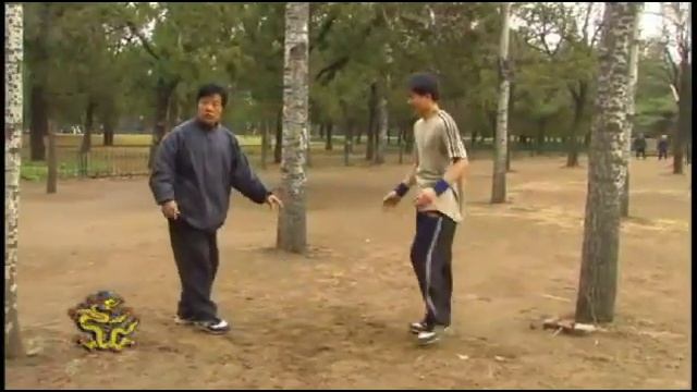Тайцзи.Чень.Сюй Сиши.Применение.#1