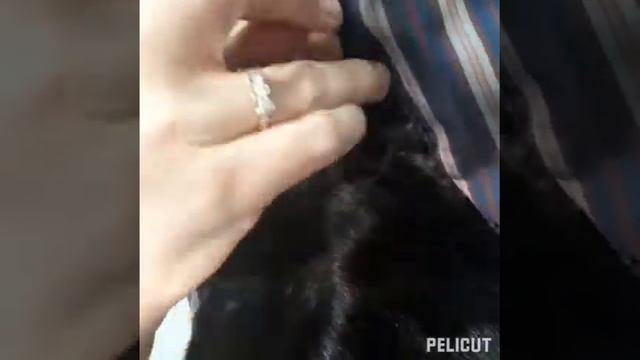 КАК ПРАВИЛЬНО ПРИШИТЬ ПОДКЛАД К НОРКОВОЙ ШУБЕ.ШЬЕМ САМИ. СКОРНЯЖНЫЕ РАБОТЫ.КУРСЫ СКОРНЯКОВ