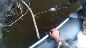 Рыбалка сетями. Лов сетью на горной речке. Проверяем сеть.