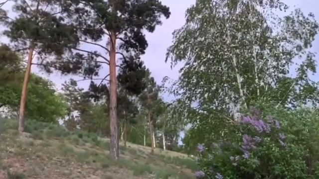 Эффективная Денежная Медитация Активации Денежной Энергии #3 под Звуки Природы смотреть онлайн