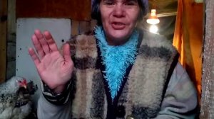 Как я обробатываю расклев у кур березовым дегтем.