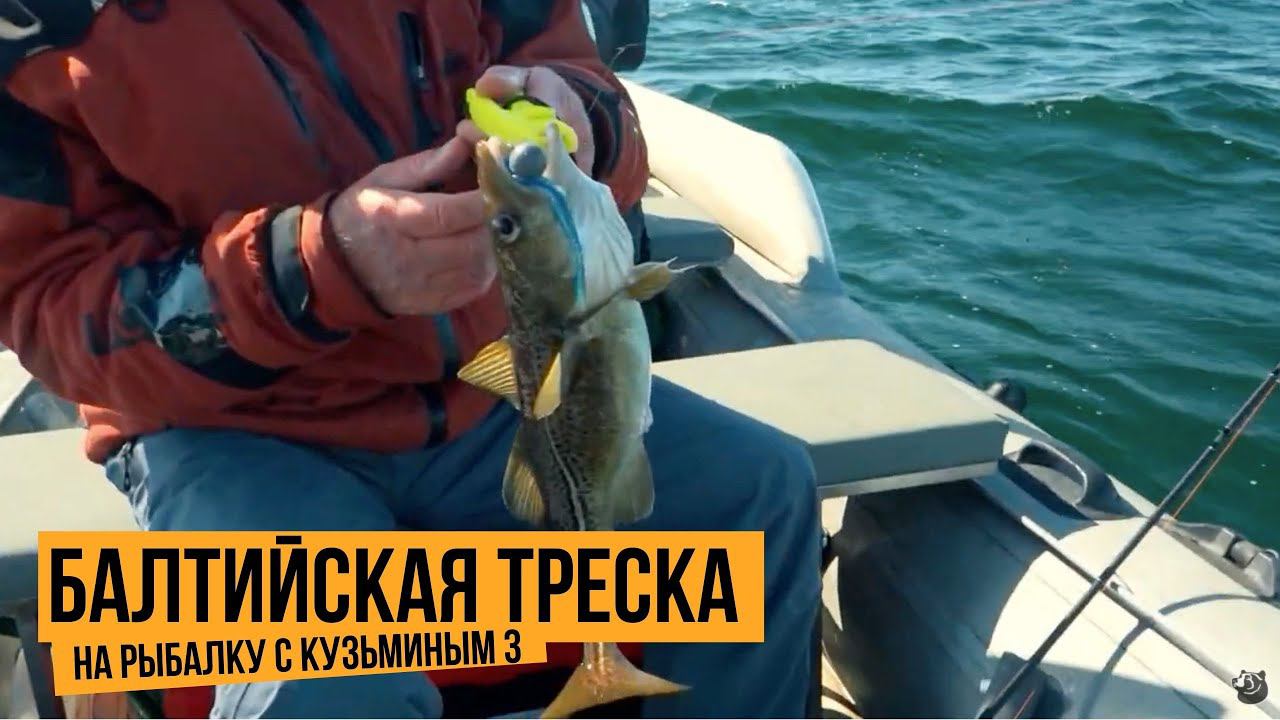 Балтийская треска / На рыбалку с Кузьминым 3 // №12