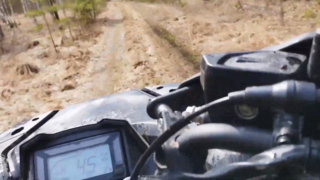 Катаемся по лесу с друзьями питбайк Cfmoto 625 eps и Cfmoto 800 eps смотреть онлайн