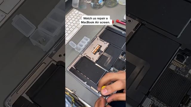 How To Replace MacBook Air Screen | MacBook Repair Dubai | Macbook Screen Repair Dubai | 0569709325 смотреть онлайн