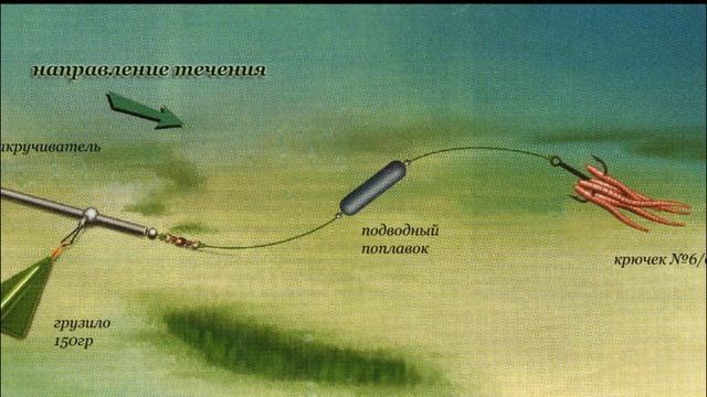 ? КАК ПОЙМАТЬ СОМА? СОВЕТЫ НАЧИНАЮЩИМ смотреть онлайн