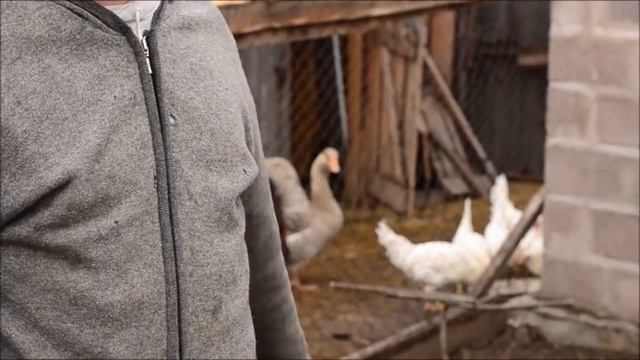 ВХакасии - Семейное разделение труда смотреть онлайн