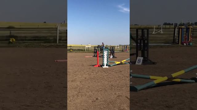 Luna’s first jumping experience смотреть онлайн