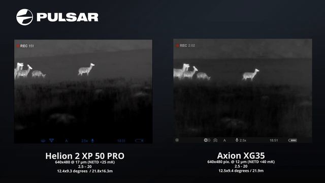 Pulsar Helion 2 XP50 Pro vs Axion 2 XG35 comparison, red deer stags polite push off during rut смотреть онлайн