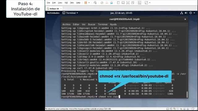 Descarga videos de YouTube con Docker + YouTube-DL смотреть онлайн