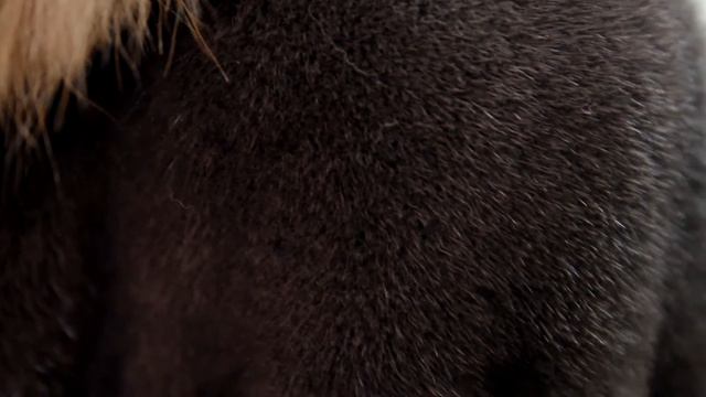 Теория Меха. Часть №1. ("Вятские Меха") смотреть онлайн