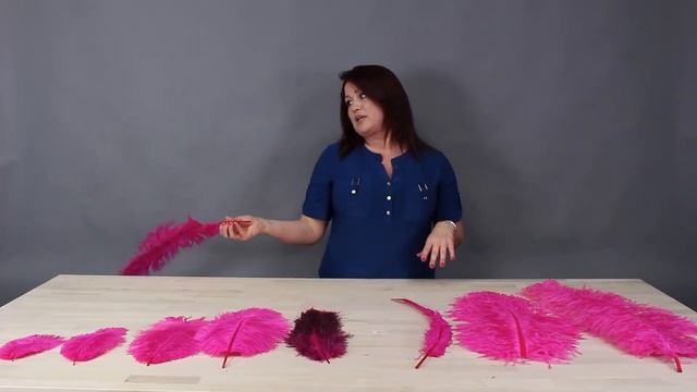 ZUCKER® Ostrich Feather Types & FAQ's | Get the FAQ's on the Best Variety of Ostrich Feathers! смотреть онлайн