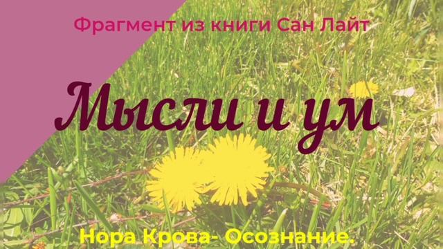 Контролировать Ум, или наблюдать за Мыслями? /Сан Лайт смотреть онлайн