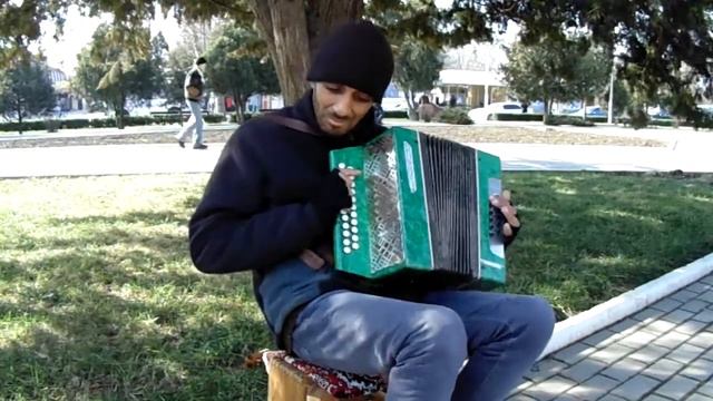 Гармонист Васил вариация № 1 смотреть онлайн