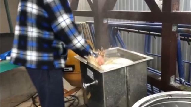 МясТехМаш. Индюки. Ошпарка и ощип в перосъемной машине. Видео от Ивана. смотреть онлайн
