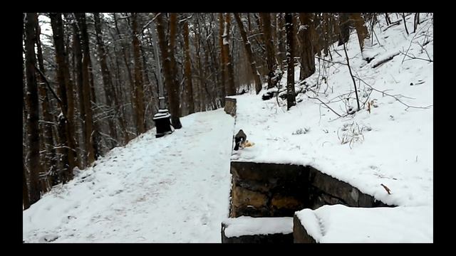 Сойки, орешки, Кисловодск 2016 смотреть онлайн