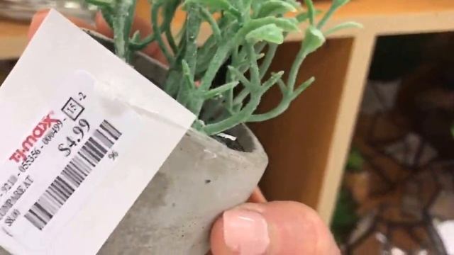 COMPRANDO EN TJ MAXX CON MARISOL смотреть онлайн