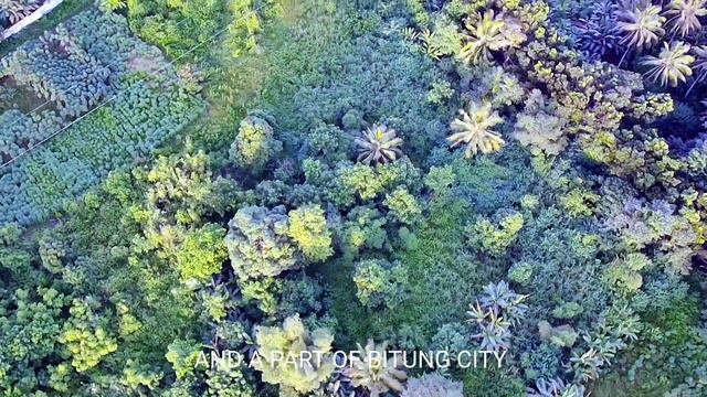 #1 suasana perumahan di kaki gunung || Cinematic Video Drone Sjrc F11 Pro 4K || July 2021 смотреть онлайн