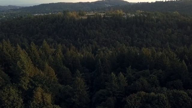 Матерый ВОЛК раскапывал лапами землю не ОСТАНАВЛИВАЯСЬ! А дальше... смотреть онлайн