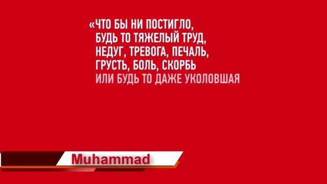 100K Muhammad 14.mp4 смотреть онлайн