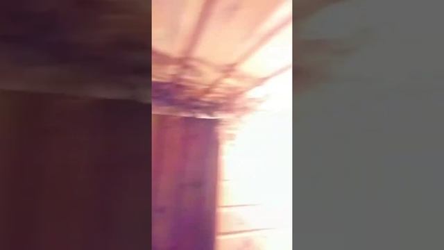 Русская баня.