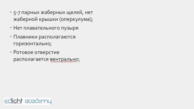 15. Рыбы. Часть 4 (разнообразие) смотреть онлайн