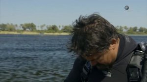 Речные монстры: Зубастый Африканских ХИЩНИК!