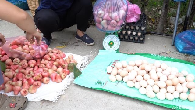 Harvest the fruit to go to the market to sell. preserve raisins смотреть онлайн