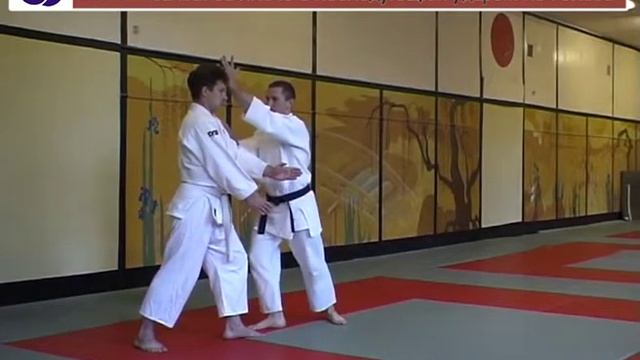 Атаки в айкидо: ката дори мен учи смотреть онлайн