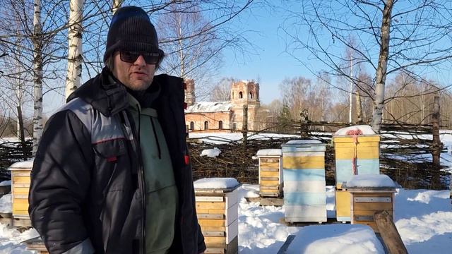 Почему мы выбрали павильонное пчеловодство
