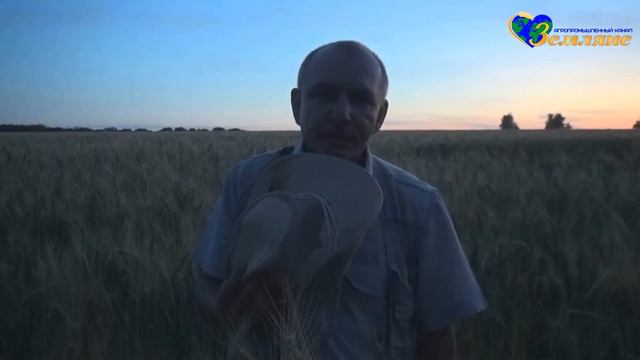 ЗЕМЛЯНЕ – Пшеничные подкормки смотреть онлайн