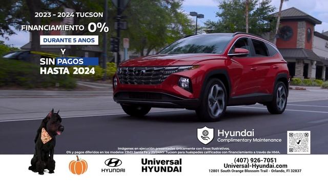 ¡Las mejores ofertas del Black Friday ya están aquí en Universal Hyundai! смотреть онлайн
